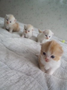 I am who I am・・・私は私のあるがまま