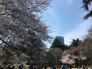 ☆　NEW FACE　☆