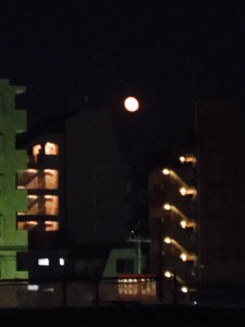 綺麗なんね！！