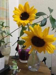 ☆　この時期に　☆