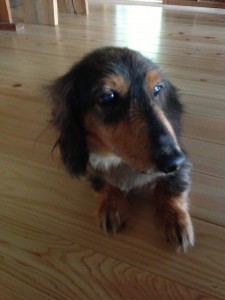 ☆　夏の思い出　後編　☆