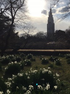 ☆　もうすぐ 。。。　☆