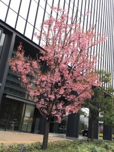 ☆　April ...  ☆