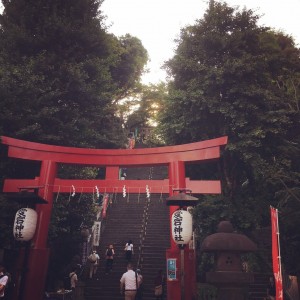 ☆　ほおづき縁日　☆