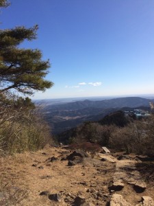 新年あけましておめでとうございます。