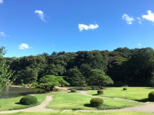 ☆　お気に入りの場所　☆