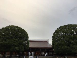 ☆　久しぶりの場所　☆