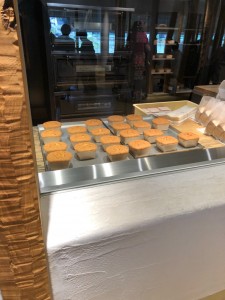 IMG_0179